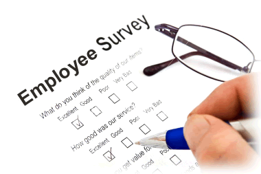 employee satisfaction survey