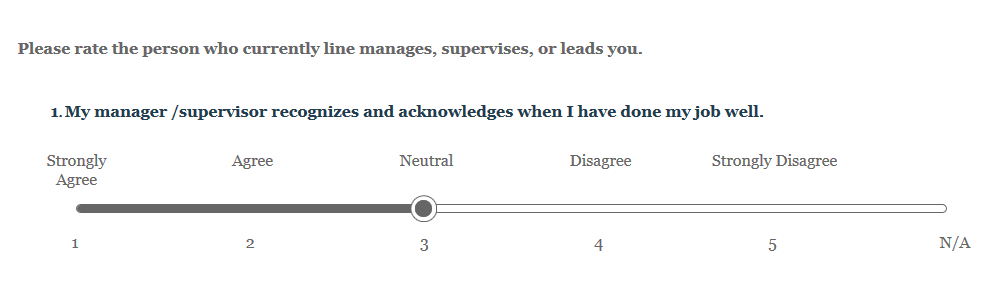 rating scale in a survey
