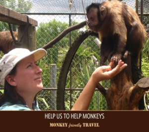 Morrin’s nonprofit website www.monkeyfriendlytravel.com
