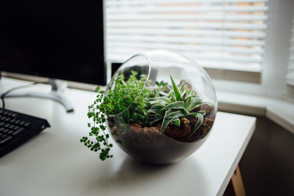Sustainability: The CX Frontier That You Need to Win Now