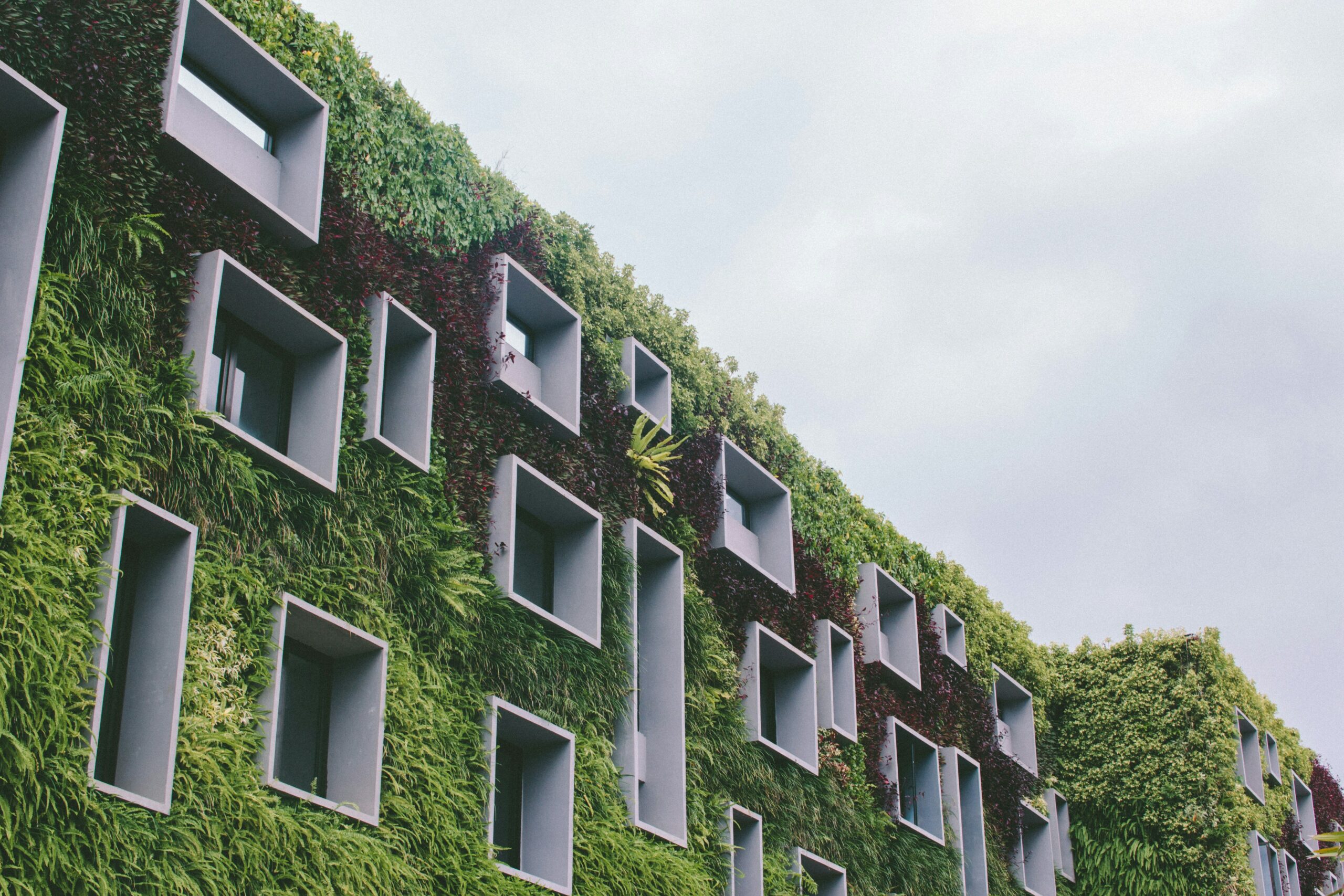 green hospitality promotes sustainability and guest satisfaction