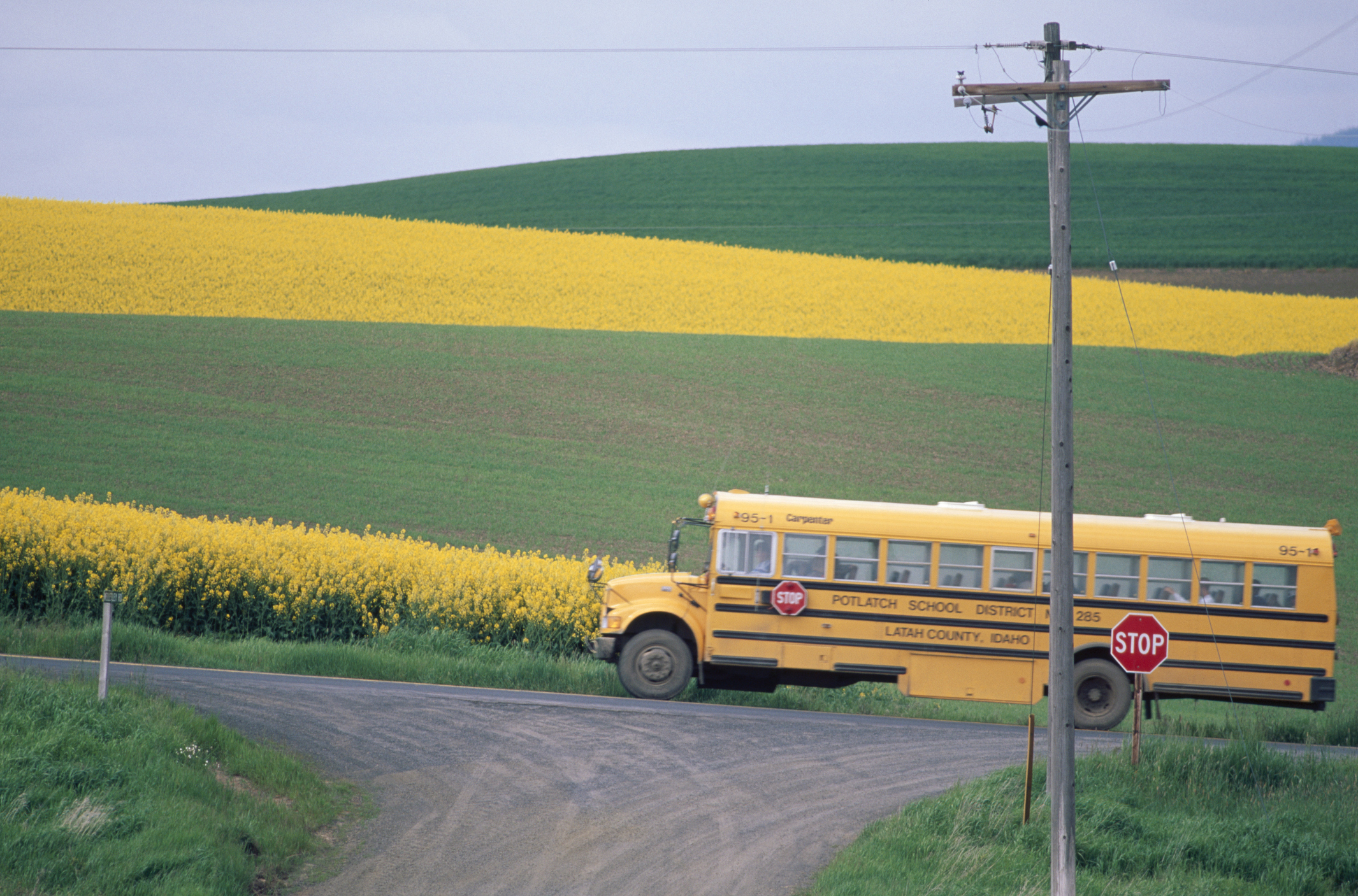 Smart Feedback Management for Small School Districts - Sogolytics