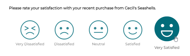 CSAT question example